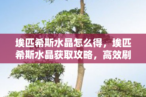 埃匹希斯水晶怎么得，埃匹希斯水晶获取攻略，高效刷取方法大揭秘