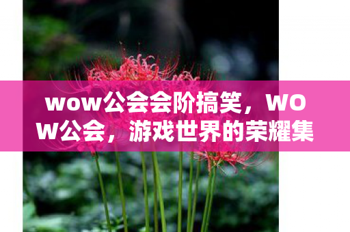 wow公会会阶搞笑，WOW公会，游戏世界的荣耀集结