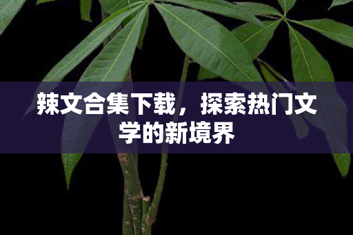 辣文合集下载，探索热门文学的新境界