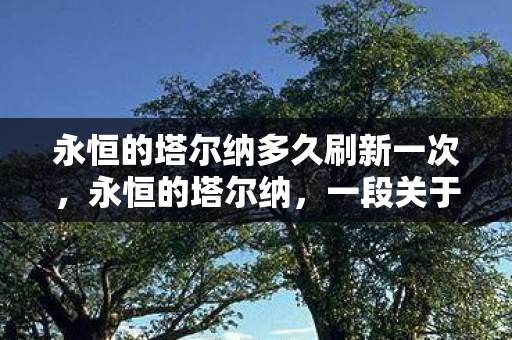 永恒的塔尔纳多久刷新一次，永恒的塔尔纳，一段关于坚持与梦想的故事