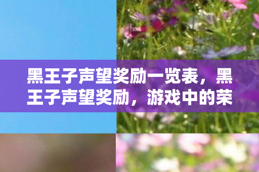 黑王子声望奖励一览表，黑王子声望奖励，游戏中的荣耀与收获