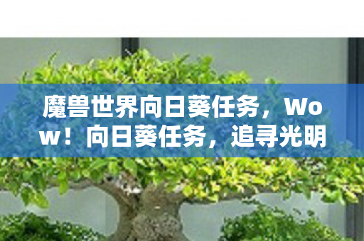 魔兽世界向日葵任务，Wow！向日葵任务，追寻光明的旅程与无尽希望的力量