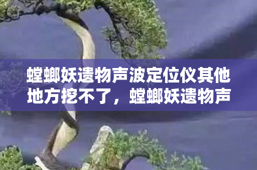 螳螂妖遗物声波定位仪其他地方挖不了，螳螂妖遗物声波定位仪，揭示古老文明的神秘科技