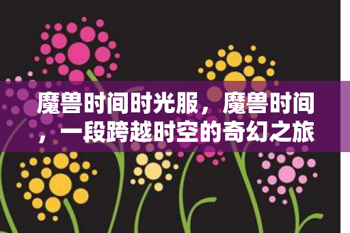 魔兽时间时光服，魔兽时间，一段跨越时空的奇幻之旅
