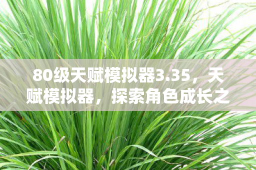 80级天赋模拟器3.35，天赋模拟器，探索角色成长之路—以80级为例