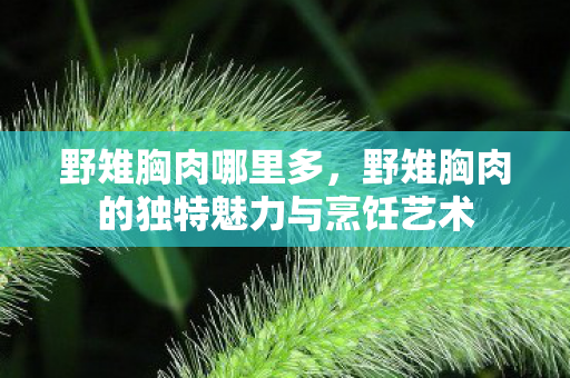 野雉胸肉哪里多，野雉胸肉的独特魅力与烹饪艺术