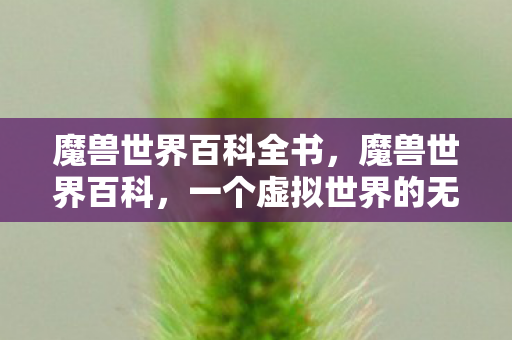 魔兽世界百科全书，魔兽世界百科，一个虚拟世界的无尽探索与冒险之旅