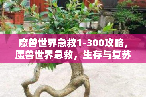 魔兽世界急救1-300攻略，魔兽世界急救，生存与复苏的艺术