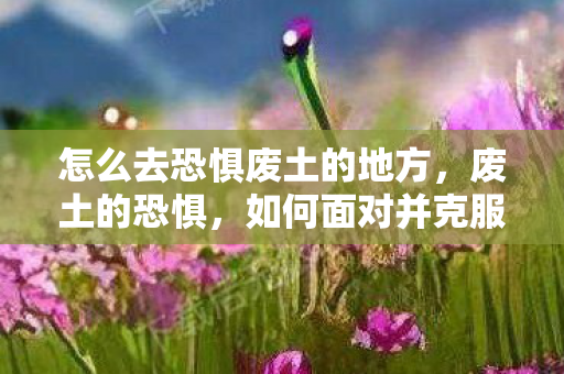 怎么去恐惧废土的地方，废土的恐惧，如何面对并克服