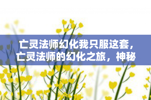 亡灵法师幻化我只服这套，亡灵法师的幻化之旅，神秘力量的觉醒与探索
