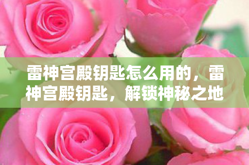 雷神宫殿钥匙怎么用的，雷神宫殿钥匙，解锁神秘之地的指南