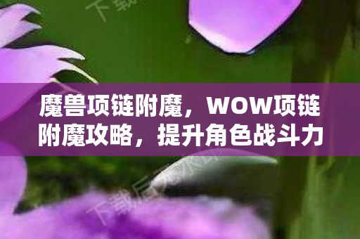 魔兽项链附魔，WOW项链附魔攻略，提升角色战斗力的必备指南