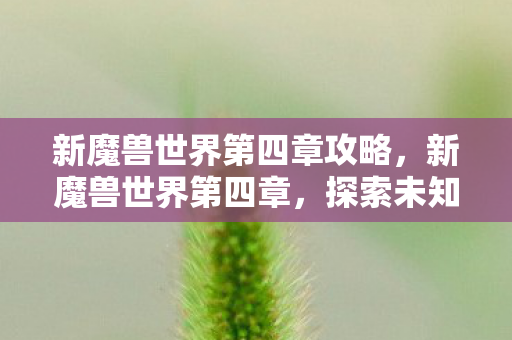 新魔兽世界第四章攻略，新魔兽世界第四章，探索未知的领域