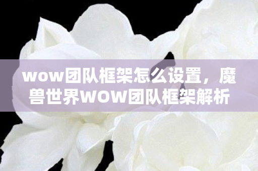 wow团队框架怎么设置，魔兽世界WOW团队框架解析与实战应用