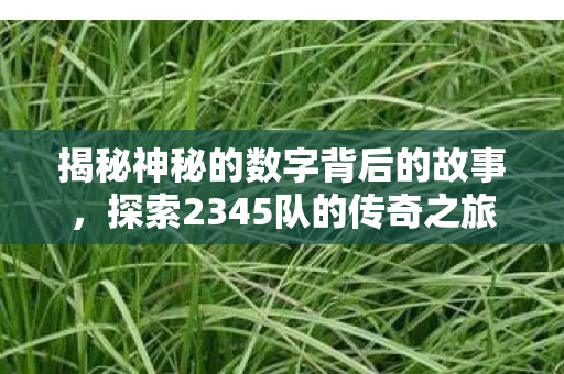 揭秘神秘的数字背后的故事，探索2345队的传奇之旅