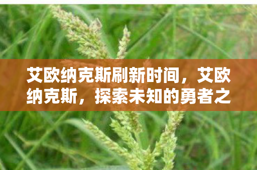 艾欧纳克斯刷新时间，艾欧纳克斯，探索未知的勇者之旅