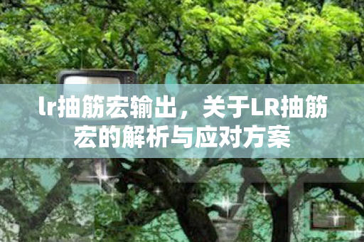 lr抽筋宏输出，关于LR抽筋宏的解析与应对方案