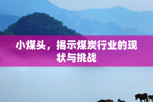 小煤头，揭示煤炭行业的现状与挑战