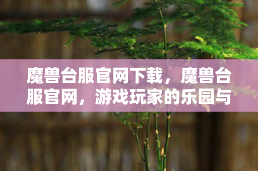 魔兽台服官网下载，魔兽台服官网，游戏玩家的乐园与信息中心