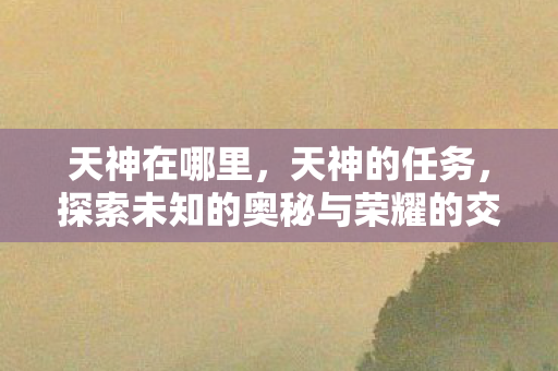天神在哪里，天神的任务，探索未知的奥秘与荣耀的交汇点