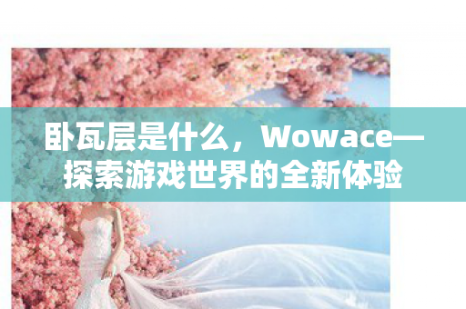 卧瓦层是什么，Wowace—探索游戏世界的全新体验
