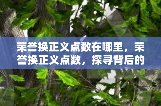 荣誉换正义点数在哪里，荣誉换正义点数，探寻背后的故事与意义