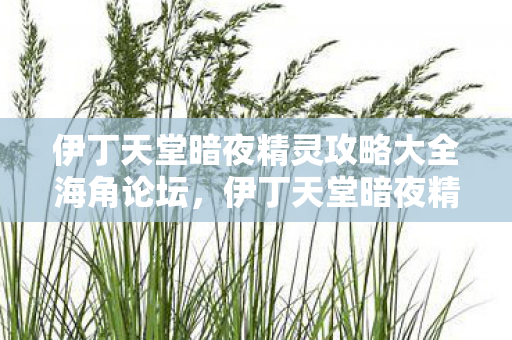 伊丁天堂暗夜精灵攻略大全海角论坛，伊丁天堂暗夜精灵攻略大全