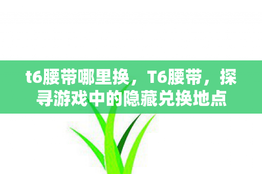 t6腰带哪里换，T6腰带，探寻游戏中的隐藏兑换地点