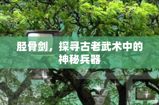 胫骨剑，探寻古老武术中的神秘兵器