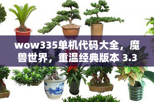 wow335单机代码大全，魔兽世界，重温经典版本 3.3.5 的魅力与特色