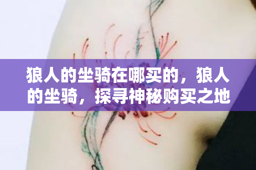 狼人的坐骑在哪买的，狼人的坐骑，探寻神秘购买之地