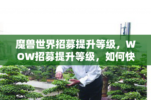 魔兽世界招募提升等级，WOW招募提升等级，如何快速跃升你的游戏角色？