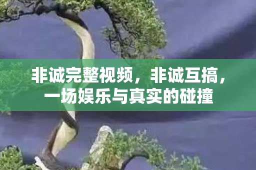 非诚完整视频，非诚互搞，一场娱乐与真实的碰撞