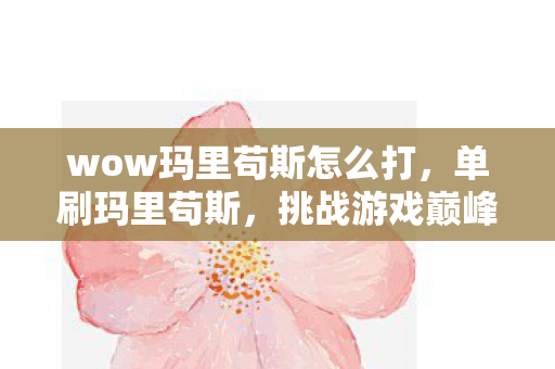 wow玛里苟斯怎么打，单刷玛里苟斯，挑战游戏巅峰的勇者之旅