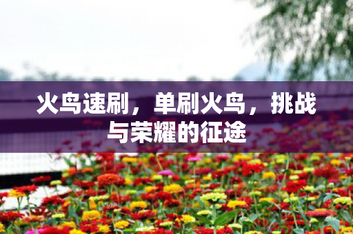火鸟速刷，单刷火鸟，挑战与荣耀的征途