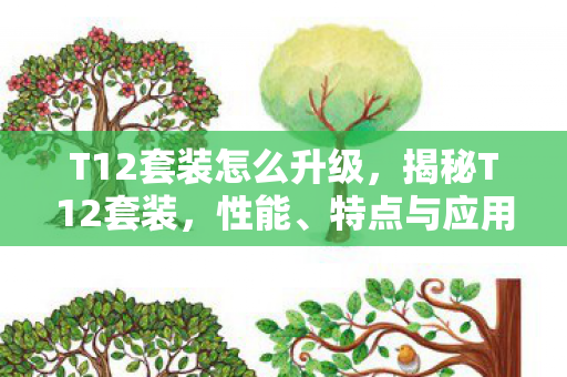 T12套装怎么升级，揭秘T12套装，性能、特点与应用领域全面解析