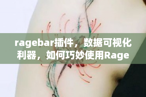 ragebar插件，数据可视化利器，如何巧妙使用Ragebar图表呈现数据差异