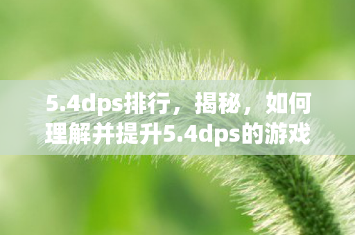 5.4dps排行，揭秘，如何理解并提升5.4dps的游戏性能表现？