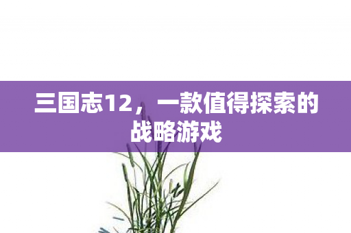 三国志12，一款值得探索的战略游戏