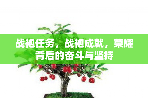 战袍任务，战袍成就，荣耀背后的奋斗与坚持