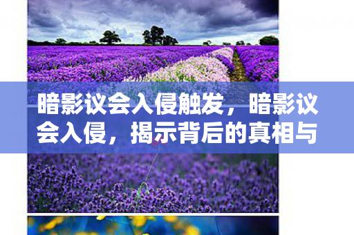 暗影议会入侵触发，暗影议会入侵，揭示背后的真相与应对之策