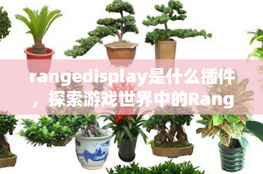 rangedisplay是什么插件，探索游戏世界中的RangeDisplay功能，定义、应用与优势分析