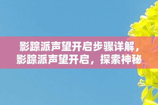 影踪派声望开启步骤详解，影踪派声望开启，探索神秘力量的旅程