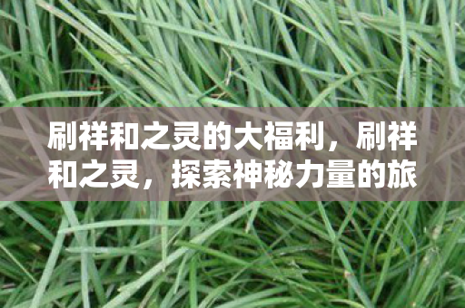 刷祥和之灵的大福利，刷祥和之灵，探索神秘力量的旅程