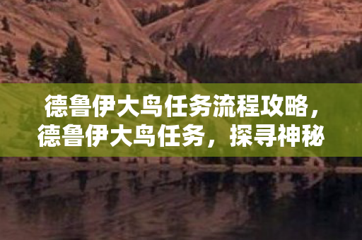 德鲁伊大鸟任务流程攻略，德鲁伊大鸟任务，探寻神秘世界的冒险之旅