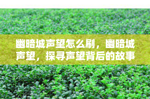 幽暗城声望怎么刷，幽暗城声望，探寻声望背后的故事与意义