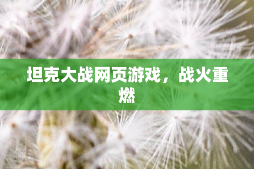 坦克大战网页游戏，战火重燃