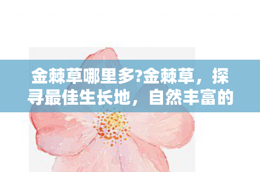 金棘草哪里多?金棘草，探寻最佳生长地，自然丰富的宝藏之地