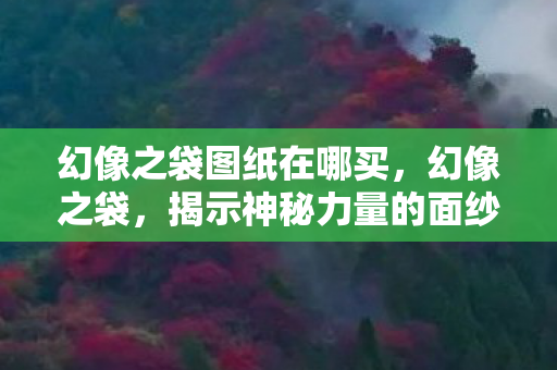 幻像之袋图纸在哪买，幻像之袋，揭示神秘力量的面纱
