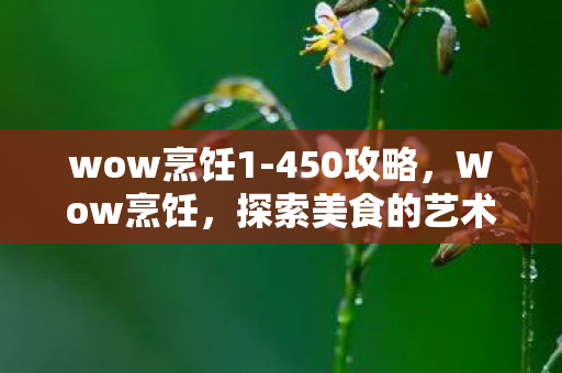wow烹饪1-450攻略，Wow烹饪，探索美食的艺术之旅